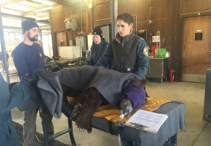 California Department of Fish and Wildlife