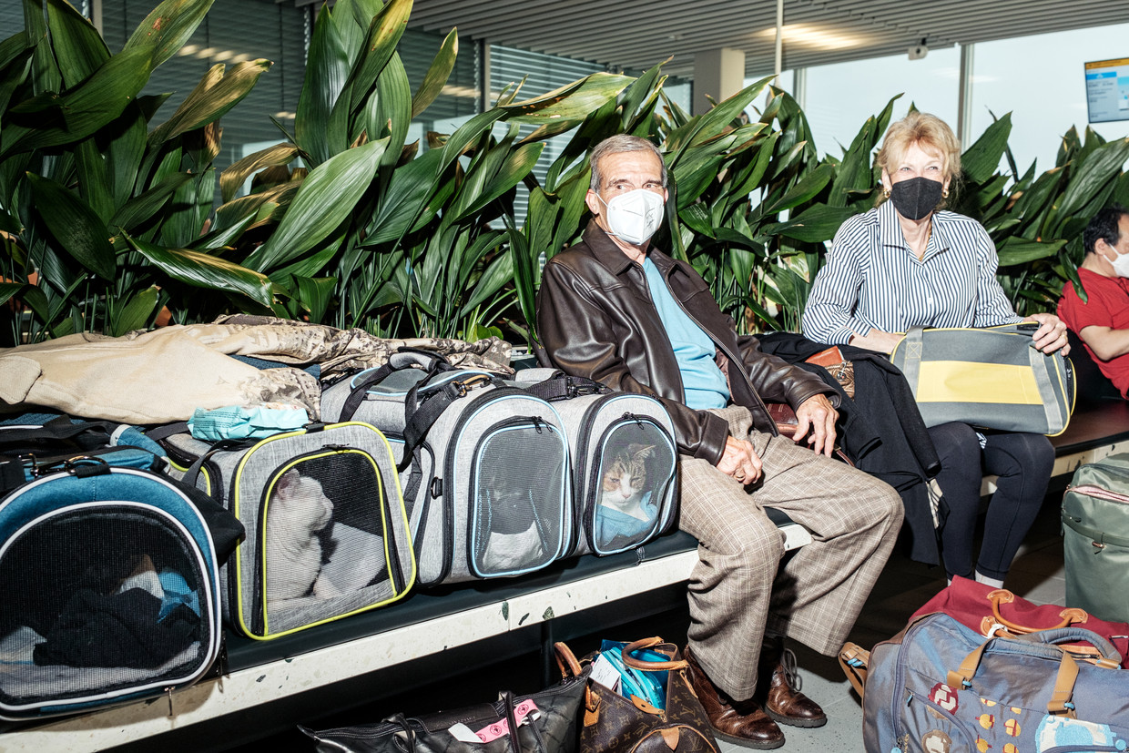 Netherlands tightens US travel measures again: All isolated