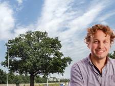 Bomenkap is vaak een keus voor kille efficiëntie