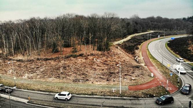 Wordt westelijke rondweg echt een walhalla voor de fietser? ‘Niet realistisch dat er geen auto's meer rijden’