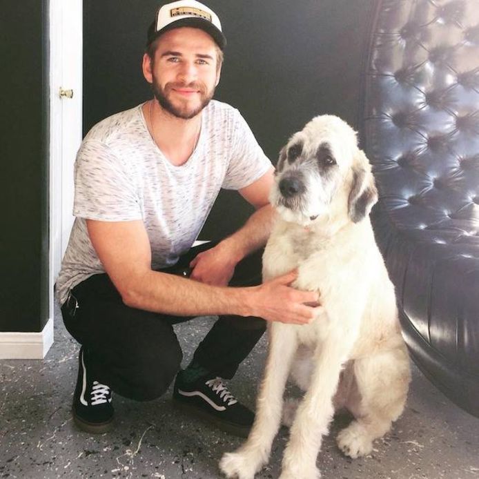 Miley hielp Liam een hond adopteren.