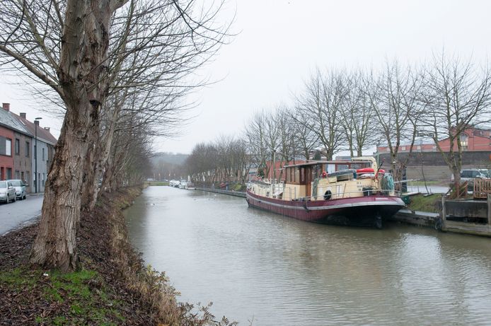 De komende maanden vinden in de jachthaven grote werkzaamheden plaats.