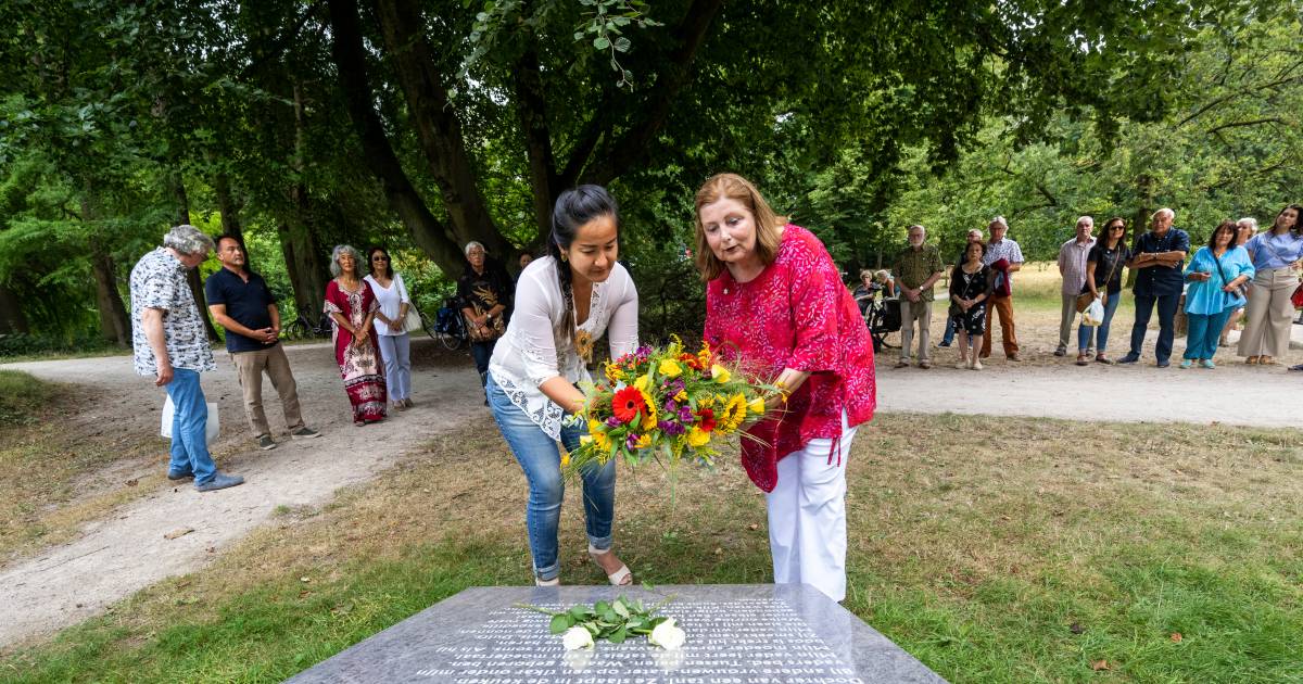 Tugu ‘Sava Belanda’ di sawah Arnhem menandai penderitaan pengungsi Indonesia Belanda |  Arnhem