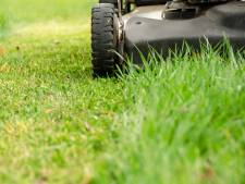 Warme winter en gras groeit alweer: kan het kwaad om het gazon nu al te maaien?
