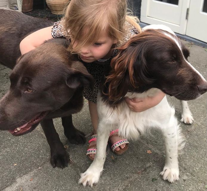 Labrador Pleun (links) en heidewachtel Lola met in het midden hun grote vriendin, de kleindochter van Jacques en Odette Hoffmans.
