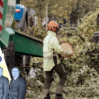 Koen Kennis vindt compromis met Deurne voor gekapte bomen en keerlus (en het Gat van de Wereld weet hoe)