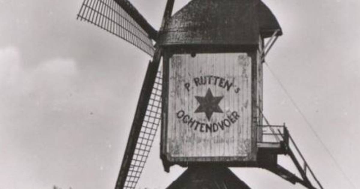 Molen Oploo is weer zoals die was