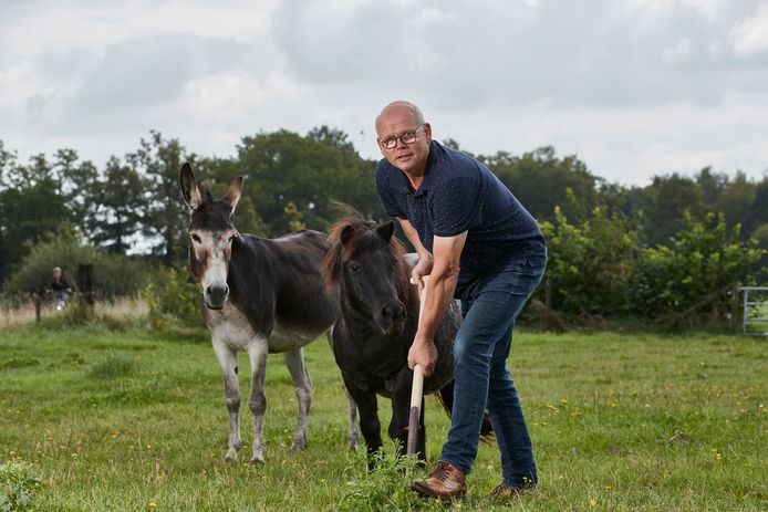 Wily Erinkveld steekt een plant van het Jacobskruiskruid uit in het weiland. Hij heeft eerder deze zomer gemaaid, maar het begint alweer flink te groeien