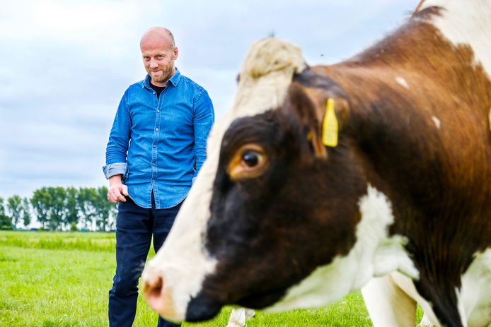 Berend te Voortwis met één van zijn koeien.