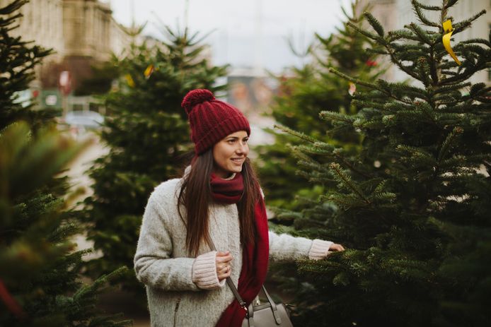 Van Nordmann tot zilverspar: welke kerstboom past perfect in jouw huis?