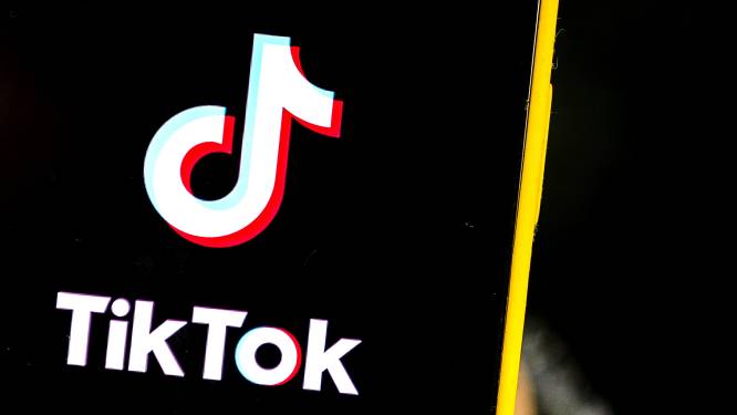 Le Parlement bruxellois bloque l'accès à TikTok depuis ses réseaux