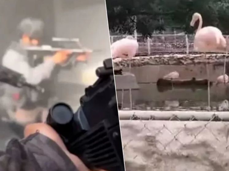 Boîte de nuit, zoo et piscine: une célèbre “prison de luxe” démantelée au Venezuela