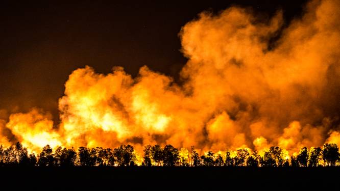 Experts waarschuwen voor onbeheersbare natuurbranden in ons land: ‘Nationaal actieplan nodig’