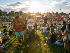 Verzet tegen meer festivals in Twiske: ‘Opeens noemen ze het een park’