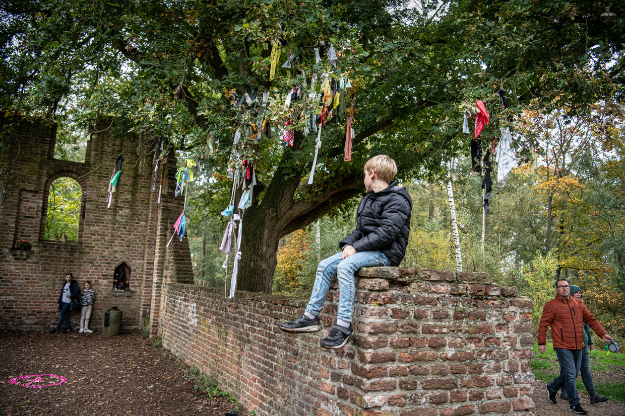 In de bossen van Overasselt staat naast een ruïne van een oude kapel de boom, waar gelovigen vanouds kledingstukken in hingen om genezing af te dwingen.