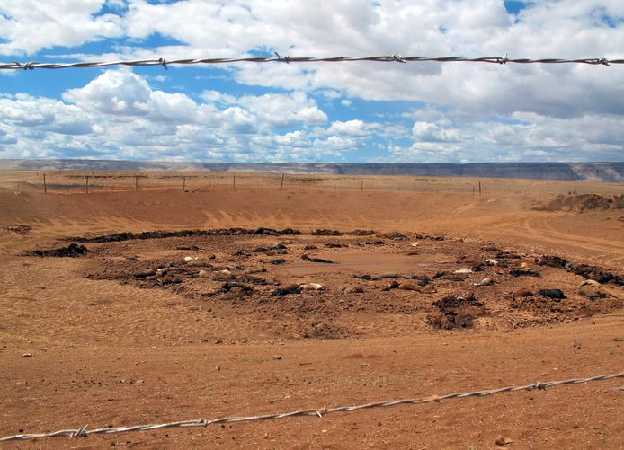 Karkassen in de uitgedroogde waterput, nu afgesloten met prikkeldraad. Volgens de leiders van het indianenvolk de Navajo, zijn de paarden op hun land het slachtoffer van overpopulatie en slinkende watervoorraden.