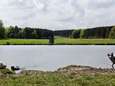 Amsterdamse Bos kampt met achterstallig onderhoud en te weinig budget: ‘Structureel meer nodig’
