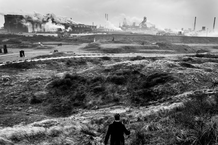 Een Zee van Staal, een veld met kunstwerken, is gecreëerd als begaanbare bufferzone tussen de fabriek en het dorp Wijk aan Zee.  Beeld Sébastien van Malleghem
