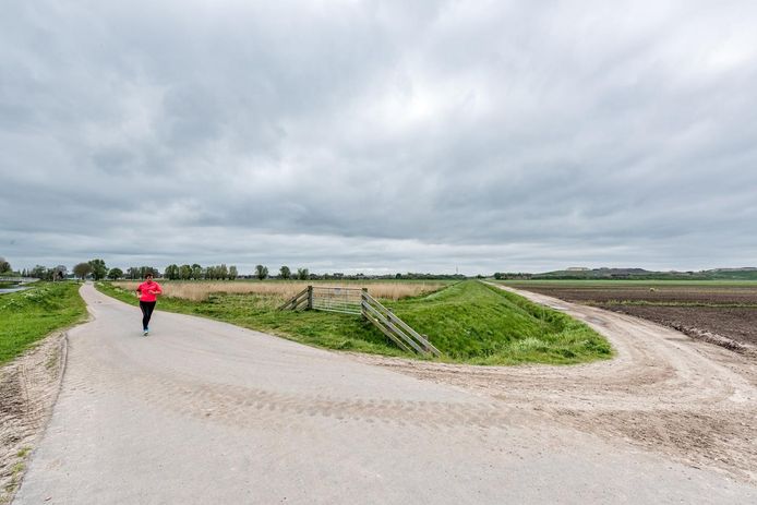 Vathorst-West is nu nog landelijk gebied. Rechts in de verte de vuilnisberg van Smink, links rukt Vathorst op.