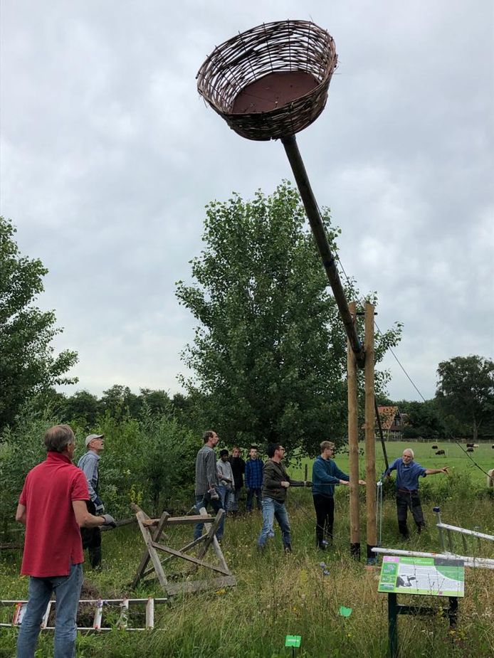 De oprichting van het ooievaarsnest in de Heemtuin in Hengelo. Helemaal rechts Herman Mulder.