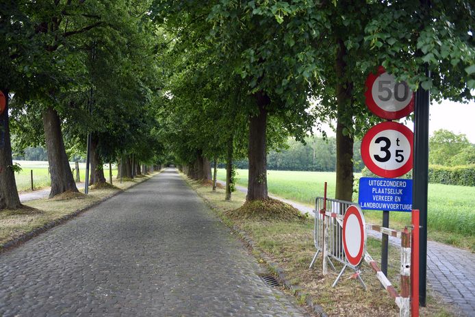 De Prinsendreef is Everberg is tot dinsdagochtend afgesloten door het stormweer.