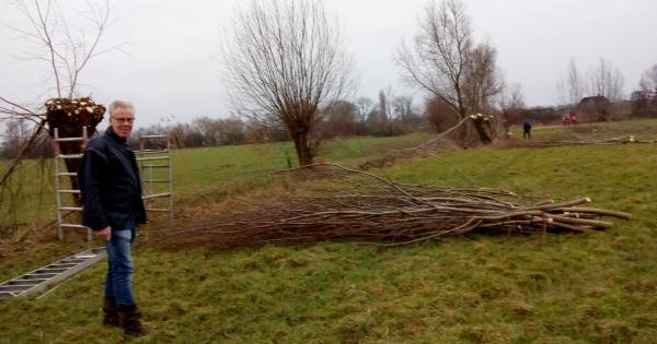 De Wijkse inboorlingen zorgen voor natuurbehoud in Het Wijkerzand - BD.nl