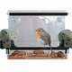 Vogeltjes kijken! 5 x vogelhuis voor aan het raam