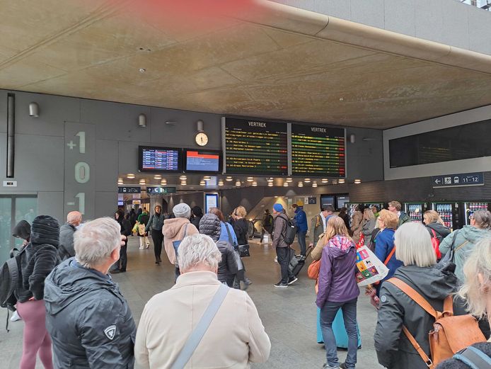 Het treinverkeer in zone Antwerpen kan weer worden hernomen na een storing aan het seinhuis in Antwerpen-Berchem.