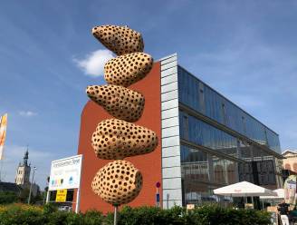 Rustige studeerplekken in Tienen