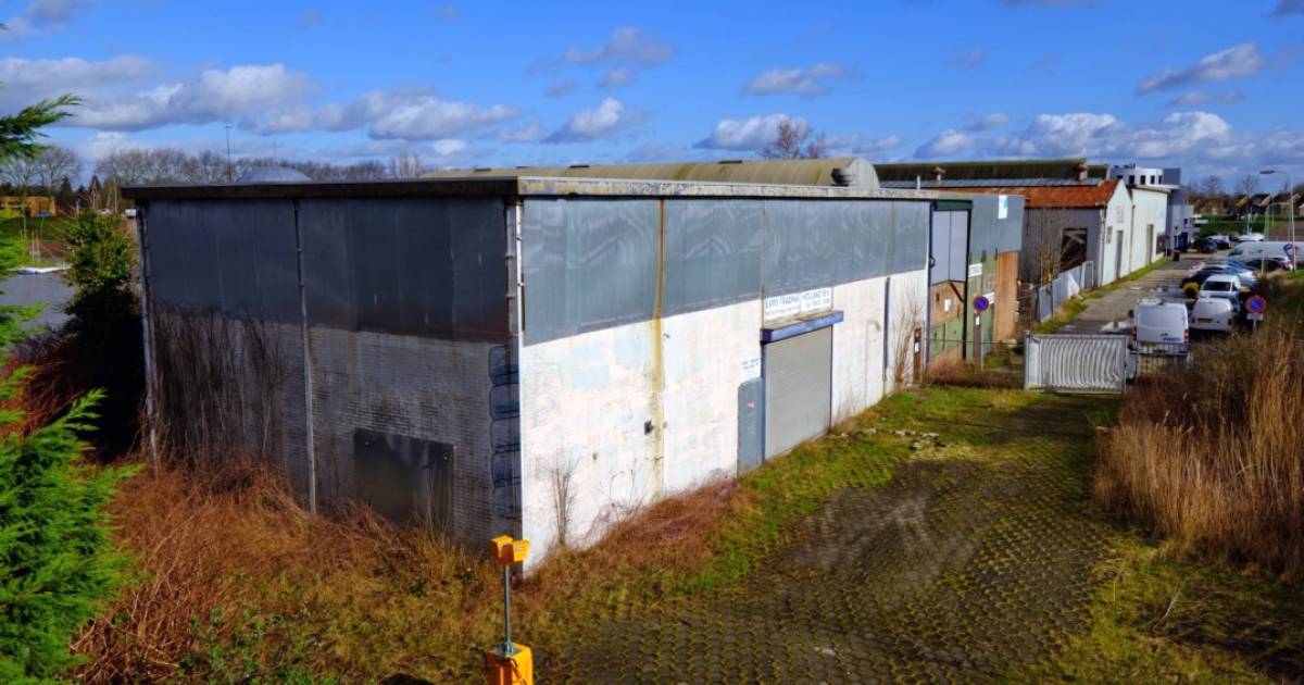 Landschap Structureel Rafflesia Arnoldi Gorcumse Scheepswerf langs de Linge te koop 'tegen een redelijk bod' |  Rivierenland | AD.nl