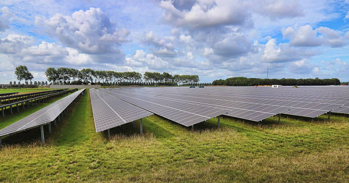 Zonnepark Kampbroek bij Hernen gaat definitief door | Wijchen