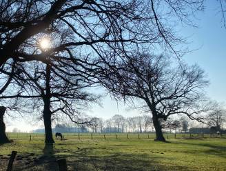 Net als vroeger van Mariakapel De Hulpe naar de Galgenbelt: ‘Legendes en een laatste biecht’