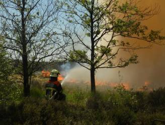 IN KAART. Nu al alarmfase oranje voor brandgevaar in Antwerpse natuurgebieden