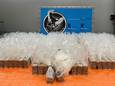 Cocaïne die verstopt zat tussen een lading diepgevroren pijlinktvis.