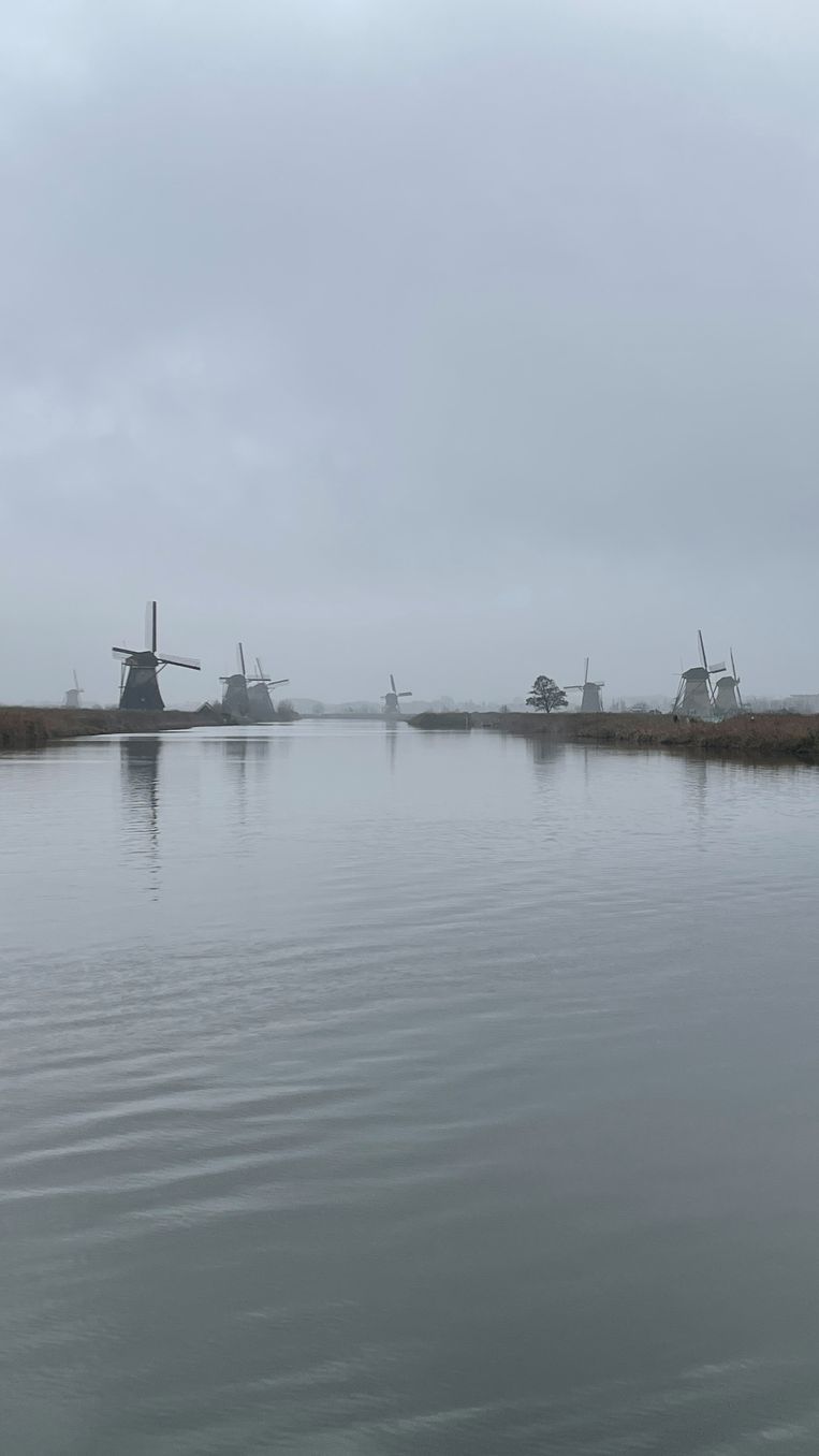 Kinderdijk. Beeld 
