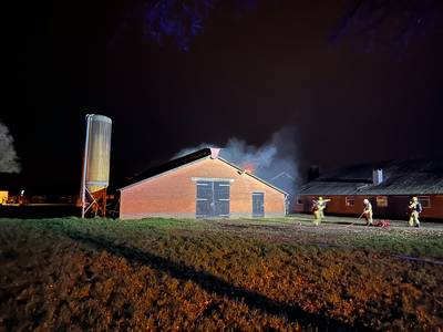 Minderjarige jongens nog vast voor brand in schuur Ermelo, waarbij 6000 eenden omkwamen