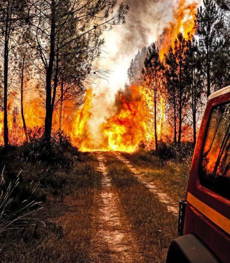 Bosbranden teisteren zuidwesten van Europa: Portugese piloot blusvliegtuig omgekomen