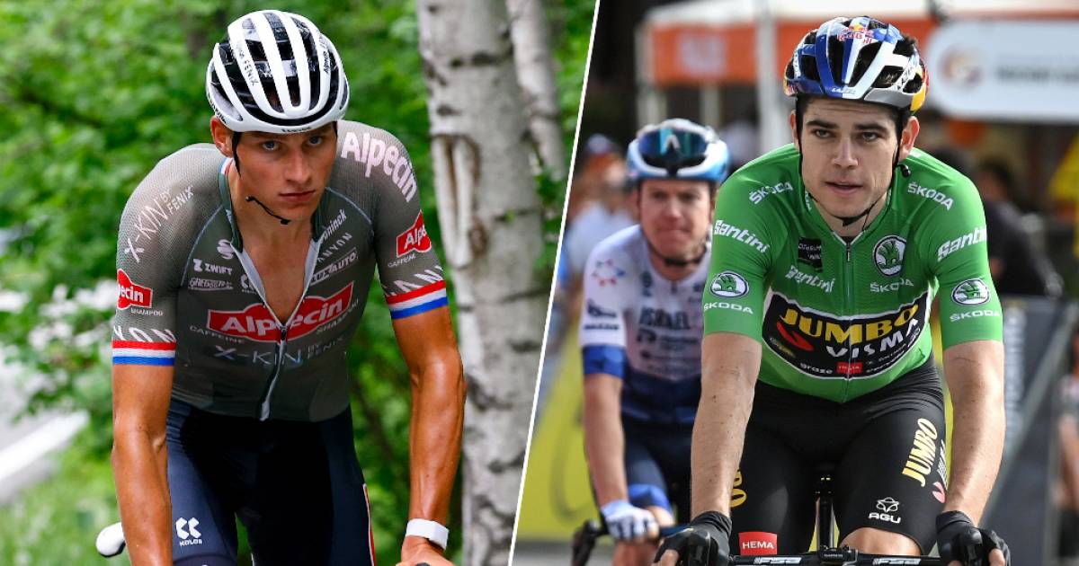 Buone notizie per Van Aert: Van der Poel non andrà per la maglia verde al Tour |  gli sport