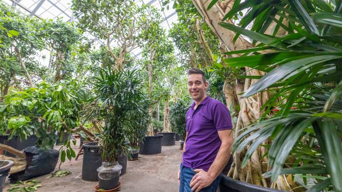 Energievreters? Steeds meer Westlandse tuinders gebruiken nu al bijna geen gas meer