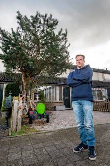 Hans uit Apeldoorn in conflict met woningcorporatie omdat boom voor huis weg moet: ‘Zaag je toch niet om?’