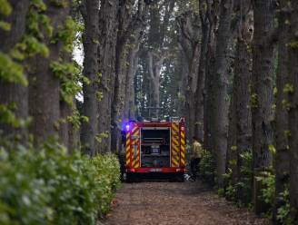 Werkstraf voor brandstichter kloostertuin, jongere vrijgesproken 