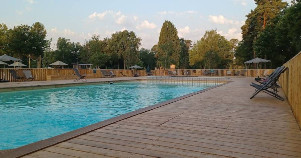 Peuter (3) verdronken in zwembad op camping in Limburg