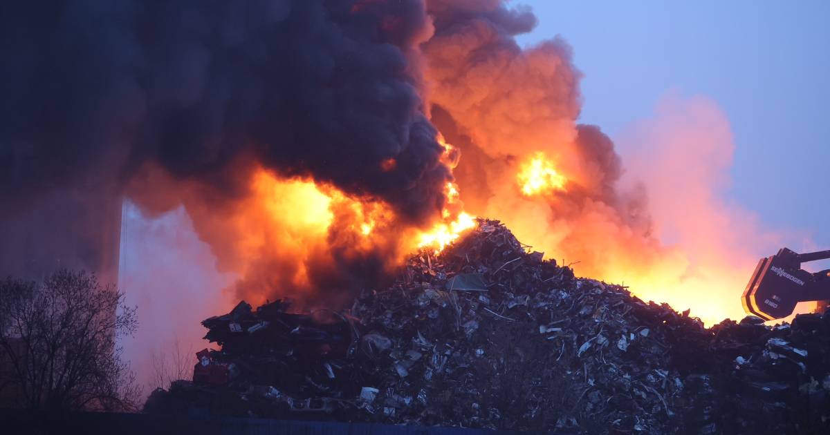 Nieuwsoverzicht | Blusboten en legerhelikopters ingezet bij zeer grote brand Den Bosch
