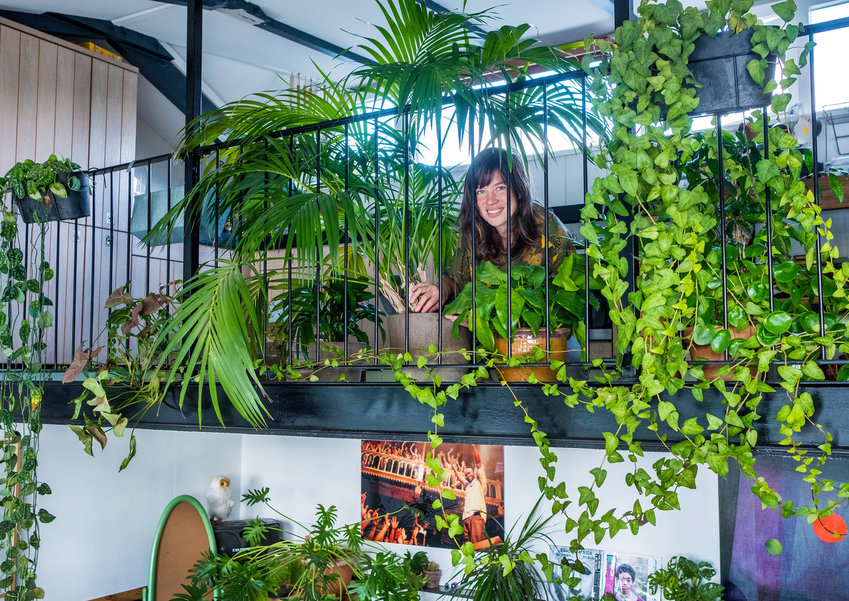 violist Zeemeeuw Kalksteen Voor deze jongeren zijn kamerplanten hun 'groene huisdieren'