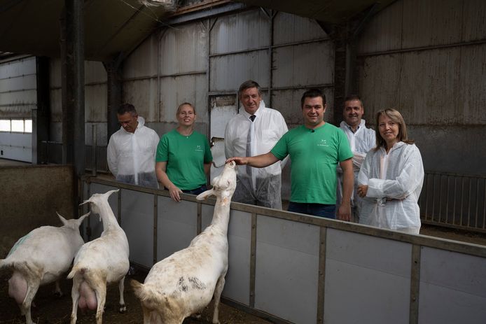 Jan Jambon (midden) ging maandagnamiddag op invitatie van de Boerenbond langs bij het melkgeitenbedrijf van Liesje Van Loon (links in groen) en Kurt Tilburgs (rechts in groen) in Essen. Helemaal rechts: Sonja De Becker, voorzitster van Boerenbond