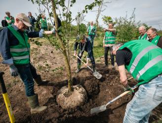 Feestje voor bijzondere bomen in Park Meerland, en de burgemeester krijgt z’n eigen zakdoekjesboom 