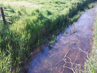 Overstromingsgebied langs de Aa moet wateroverlast indijken