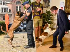 Speciale ‘cashhonden’ van federale politie spoorden in 2022 recordbedrag van 10 miljoen euro op