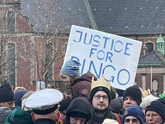 Justice for Pingo