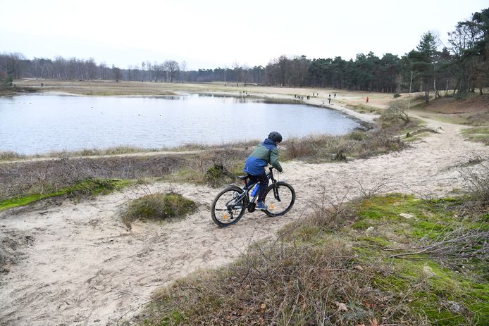 Het bos in Dorst gaat op de schop. De bedoeling is meer rust te creeren voor wandelaars en nieuw vee.